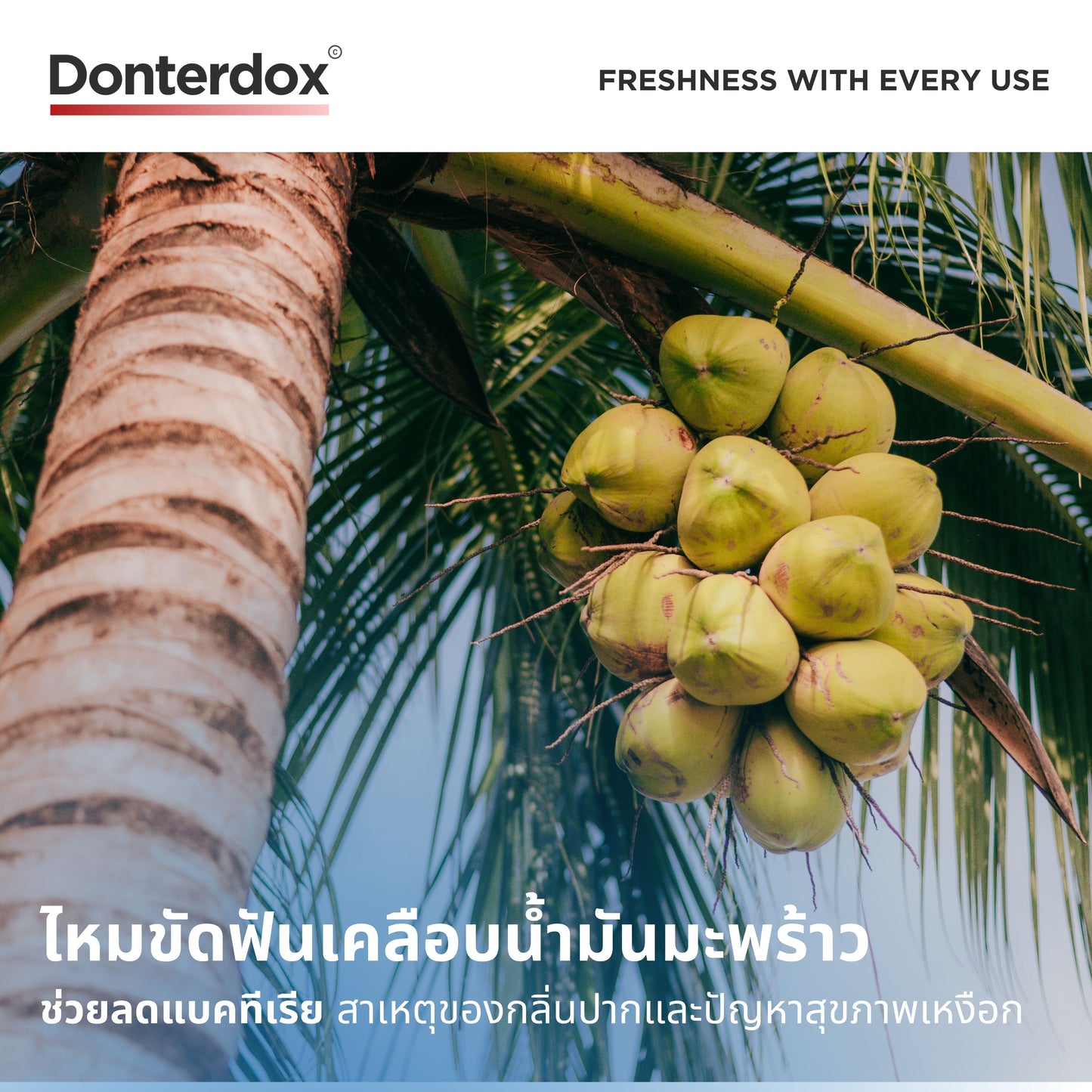 Coconut Oil Dental Floss - ไหมขัดฟันเคลือบน้ำมันมะพร้าว รสมิ้นท์